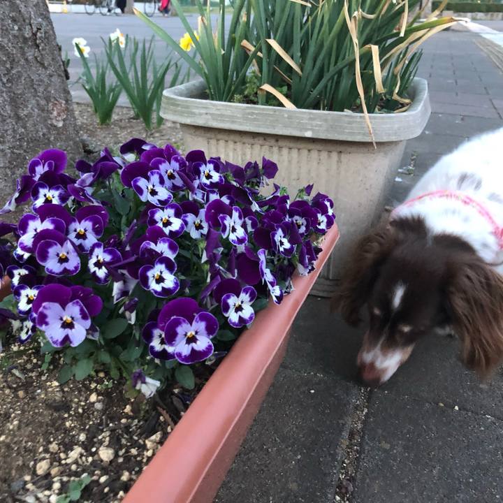 0c9230f7 9e30 4c7a a845 7e672a42b4a5 1554640679632