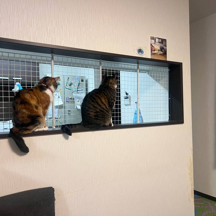 0c92518c e659 4a66 abef 7a7ebde7fac3 1765704992594