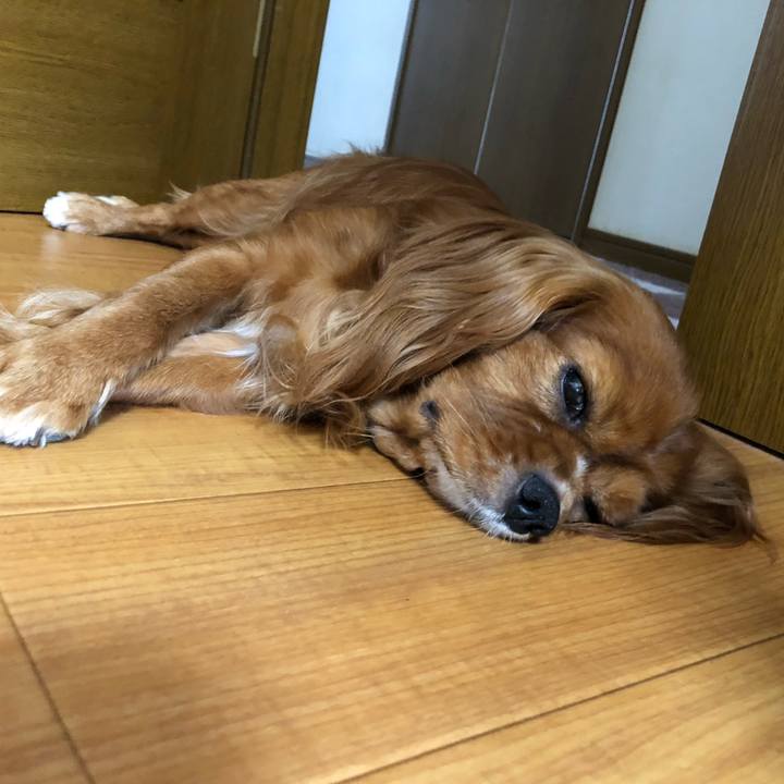 0c926a95 5bdb 4bd9 9ce7 765a5d7e7a13 1592260287698