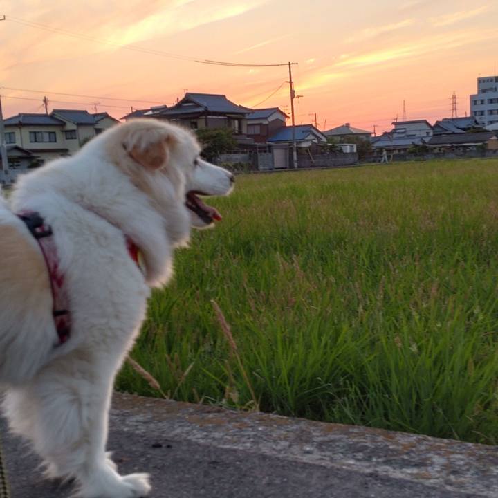 0c927b1d b6dd 4ebc 915e ea0bfed34897 1653820327255