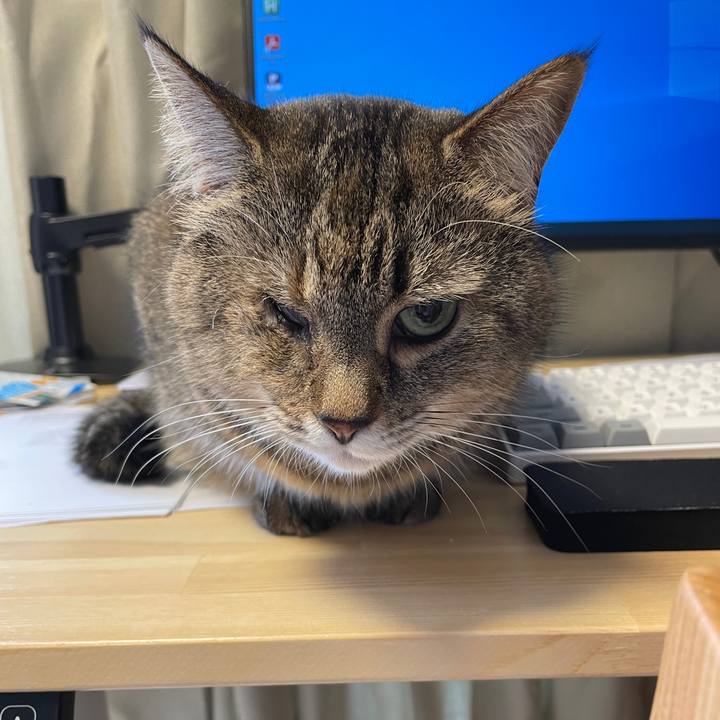 0c92e8b6 60b5 4f99 8779 03d3a2b2c290 1621727389501