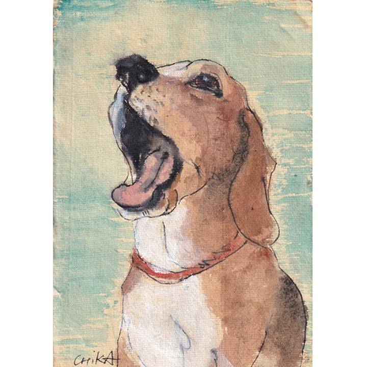 0c92e8ea 8411 4184 b005 a941a03d6b66 1761835950921