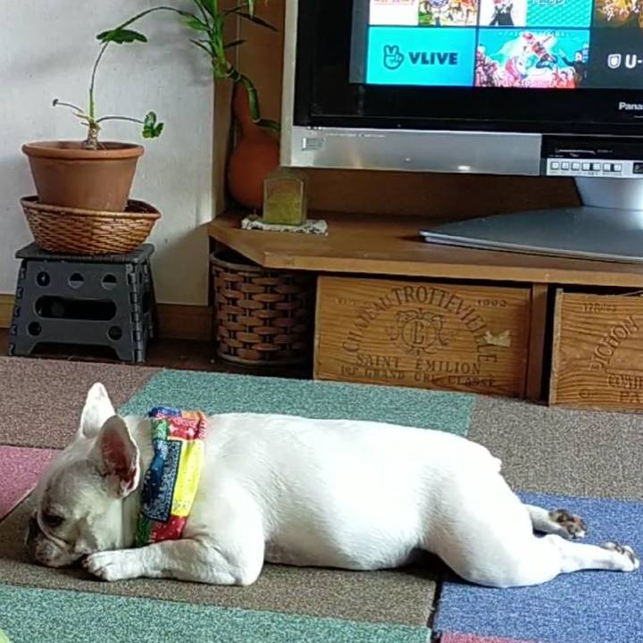 0c92f54c 8945 4a55 a649 43723105c174 1655635892596