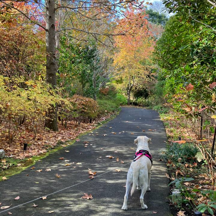 0c930ed1 7ce5 467e be76 eb073c407a3d 1668682741657