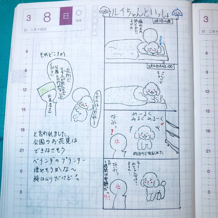 0c93a8c8 a48c 4af7 83bd 91e077e055e2 1583672814333