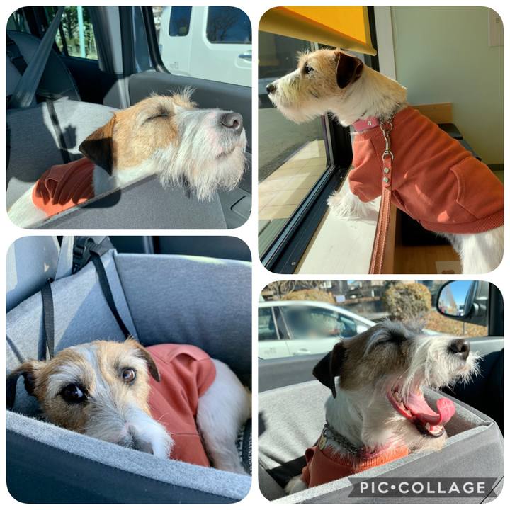 0c93c67e 8eb4 4b96 b724 a636612d9289 1610081815043