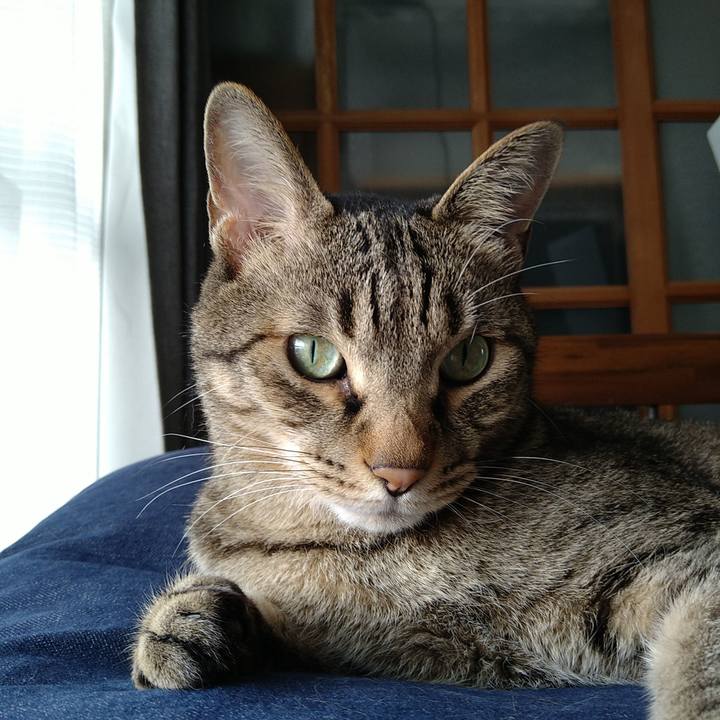 0c93dace 2f00 4c68 a985 f906bf55adeb 1719041058675