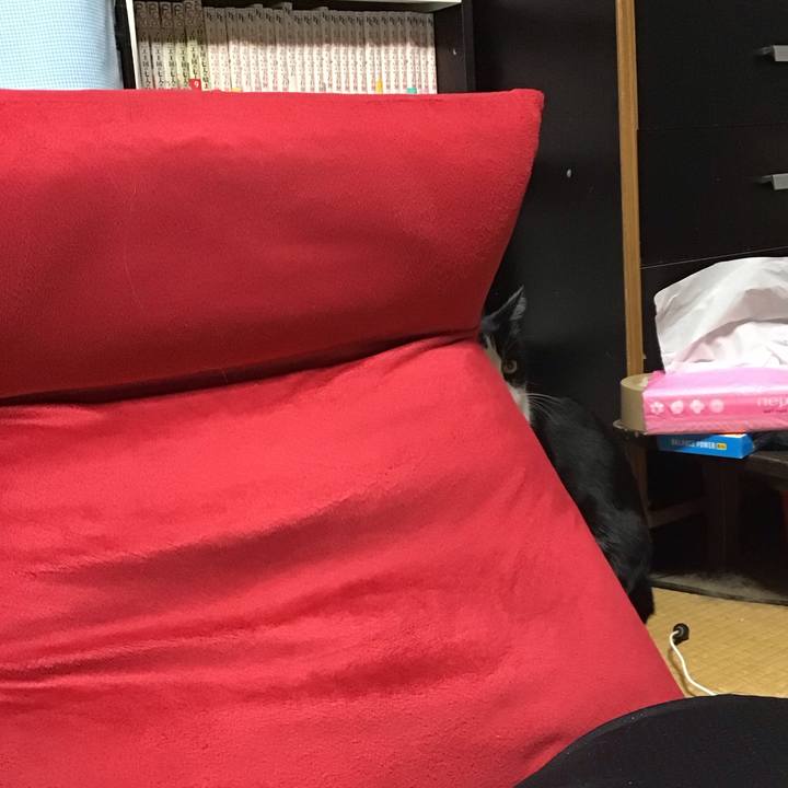 0c93ed0e c61a 405a b7b1 b794c25b9ca9 1772797844472