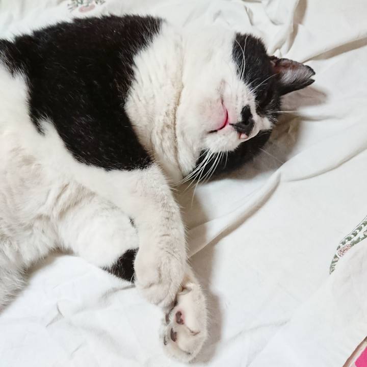 0c941322 bb2c 4067 888b d218df853e43 1659996088810