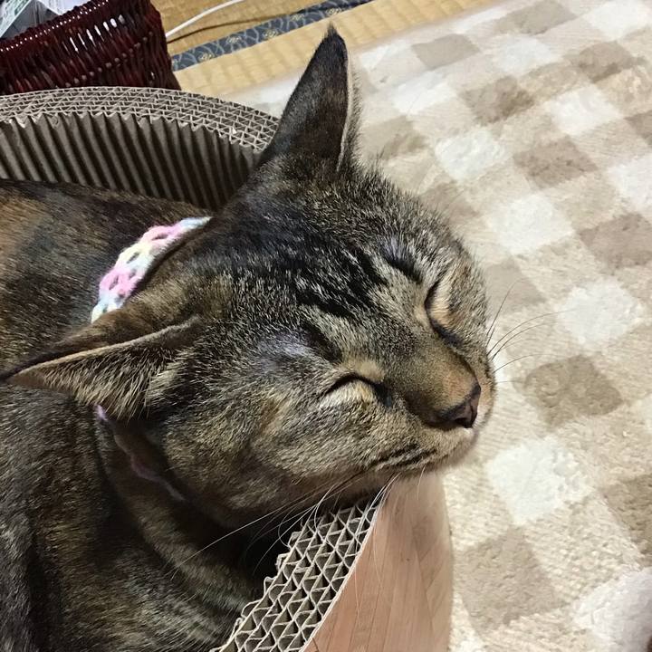 0c9425d1 10ea 4f21 995b 5d11750f9bab 1697629460570