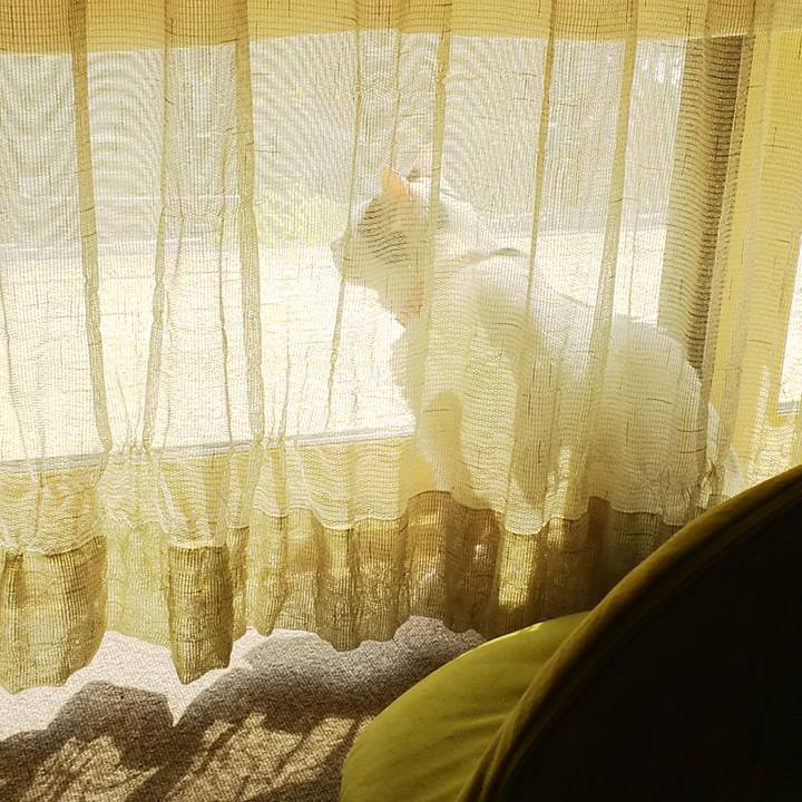 0c943266 383c 484e 853e d52074c590a4 1524888414689