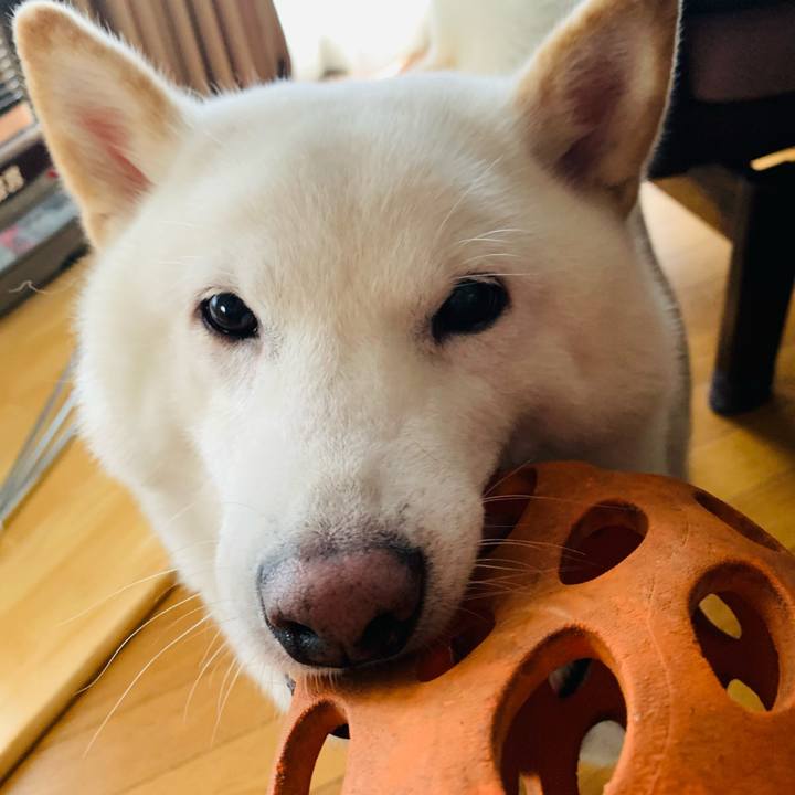 0c943894 2ee2 4ca4 8c7e 607ea783def4 1608077922386