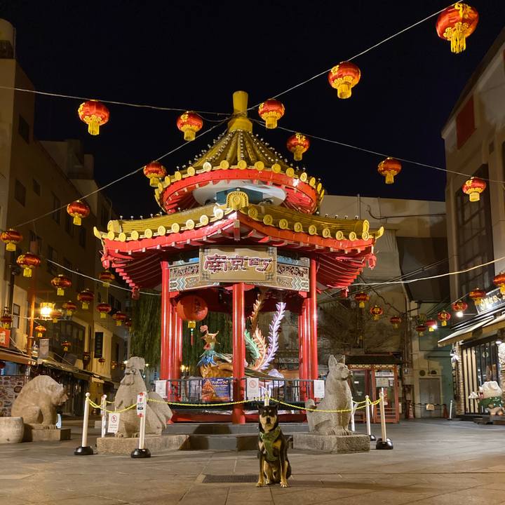 0c944be6 0101 42aa 8a83 c879c323c3a8 1607822618301