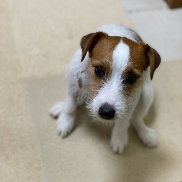 0c94bb2b a182 4498 8516 3b7ebef76b8c 1644836688645