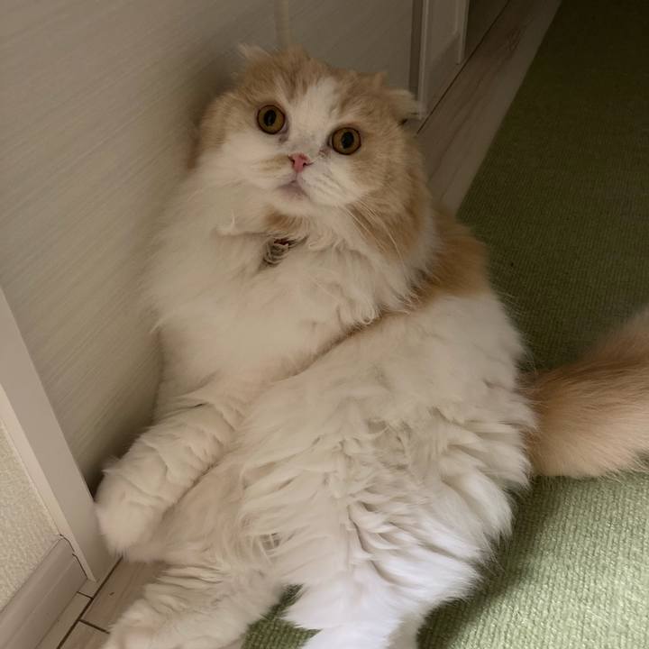 0c94f1c9 ae7d 4639 85d6 a7385cf8ef7d 1613816599302