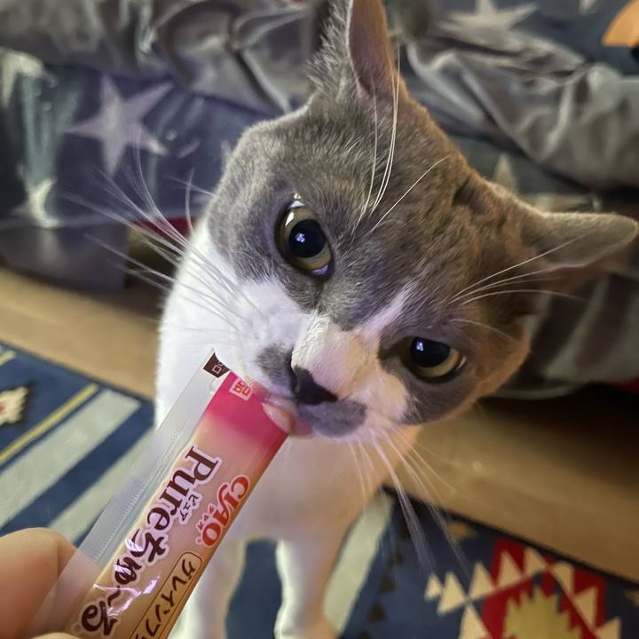 0c94fe61 7965 4b32 95f6 dff3b07f9639 1663914262976