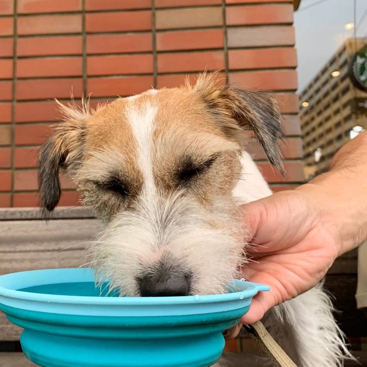 0c950172 c92f 448d a11e f548af4edd1f 1595587058340