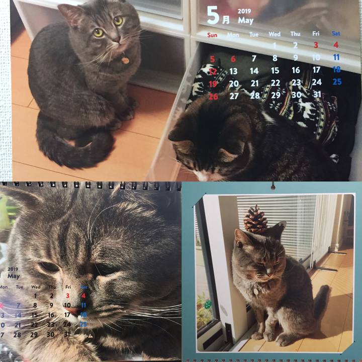 0c952d6f a10c 438f bfe5 291f47bbd1b9 1556750231548