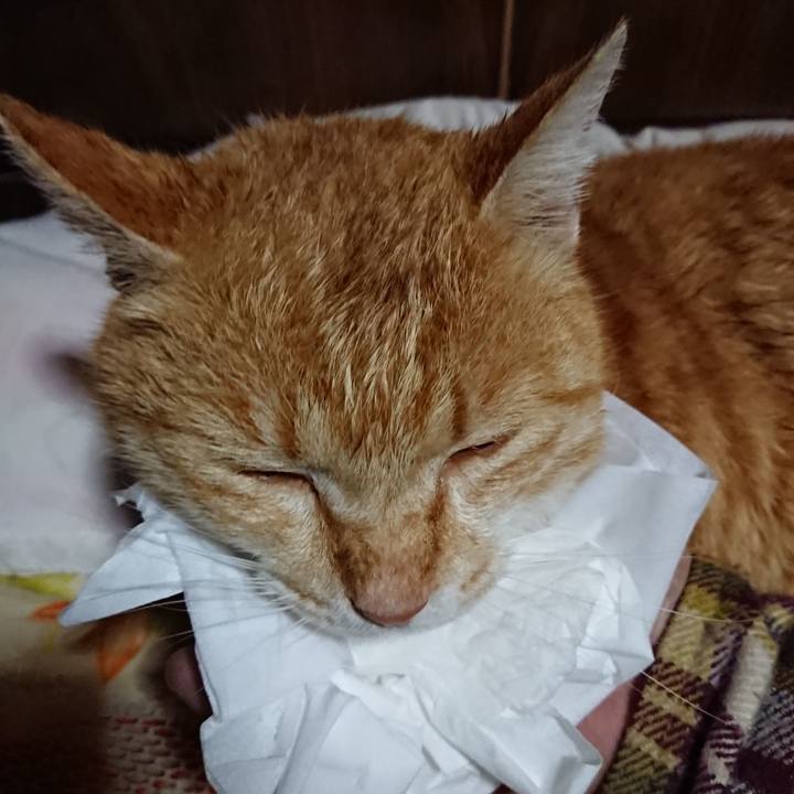 0c9534a6 0655 49ef b2ec 67464835f96c 1584880381154