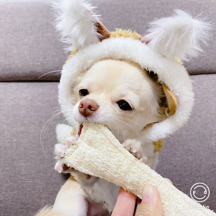 0c953ee1 8835 4491 a860 08a0db589747 1606646904192