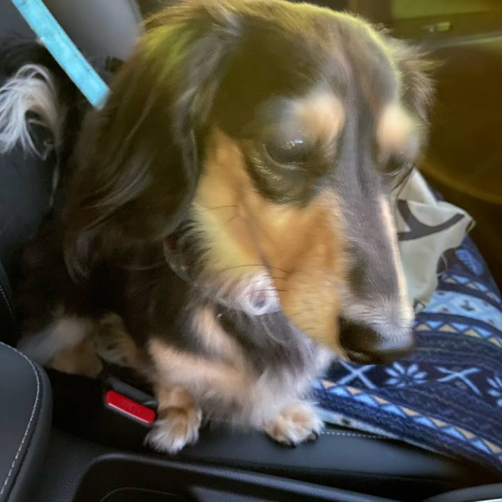 0c954245 74b8 4809 aaa2 3faabdb72cd3 1741943276205