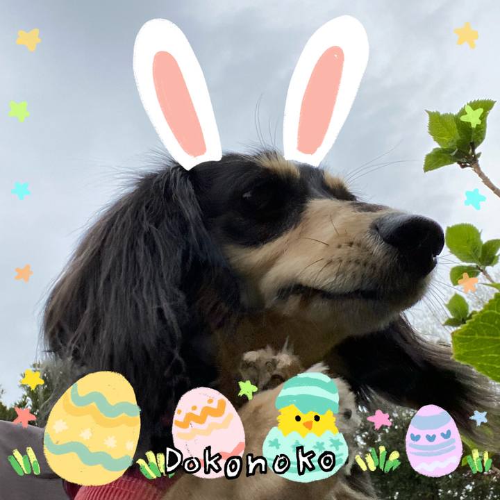 0c95544e c6f1 4e51 a267 23052f34f710 1712210956320