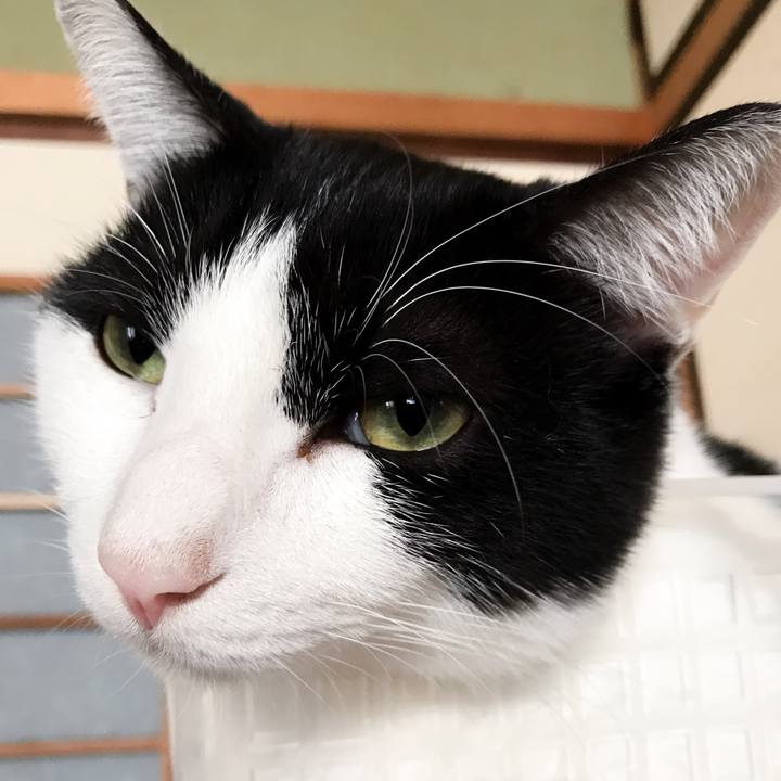 0c95837e a452 4757 9e89 5037147b454b 1510658332820