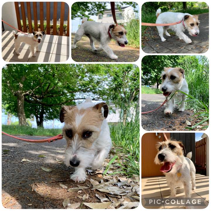 0c958995 31ad 4f4b 92d3 d4487c669fc7 1621164173907