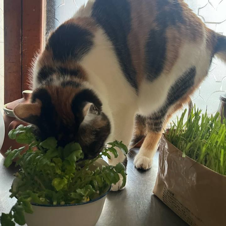 0c95bd48 ab91 4a21 94f3 9625957f5454 1773098019643