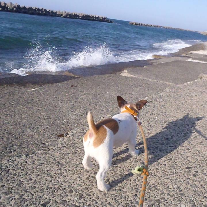 0c95f395 94b2 4e0e a057 4cc8edfada3a 1527392272221