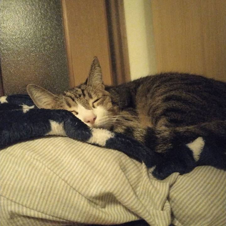 0c960d27 b3be 4522 98fb 94e74afde695 1730607253719