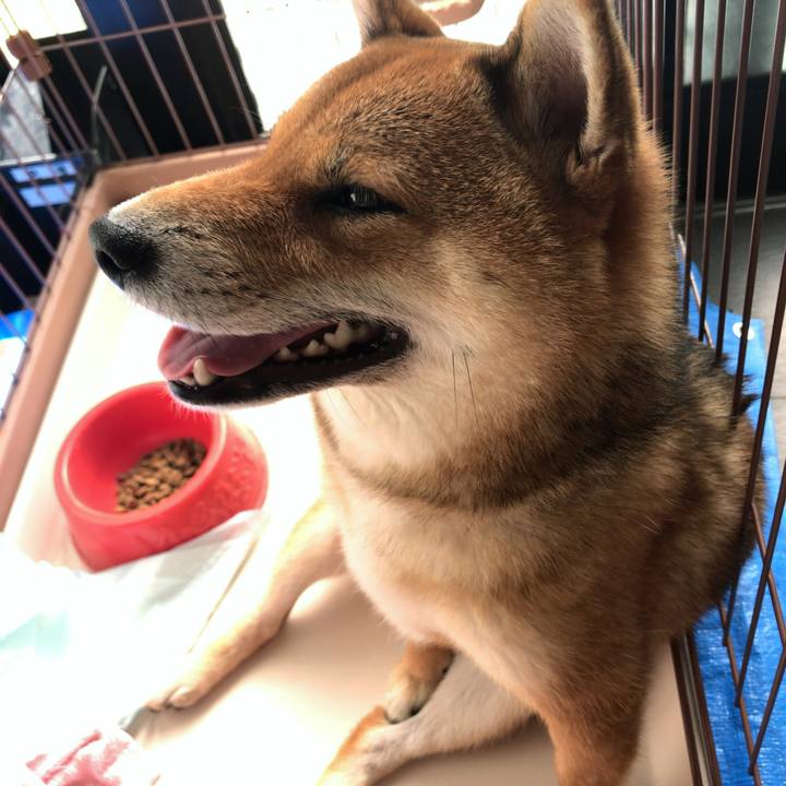 0c960f84 dbc6 4db6 828d eb0707859dd8 1530272245426