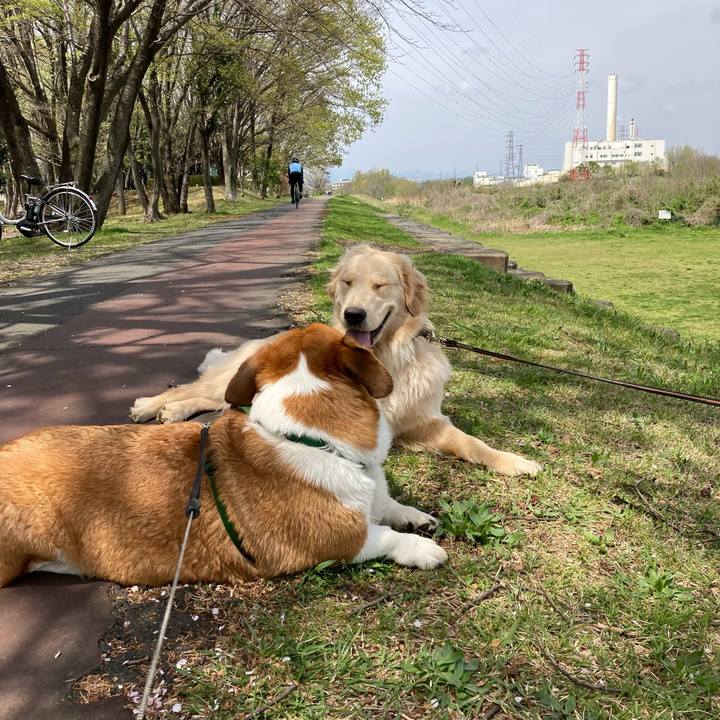 0c961122 dd01 45a2 bac5 bafad3546860 1712879847762