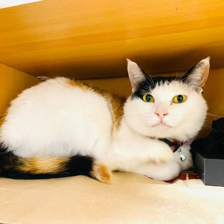 0c96118a a218 4631 aa00 ece9fd4518f6 1684729626858