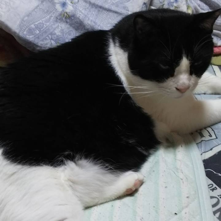 0c9615a1 3497 4178 b7ca f6fbc13badaf 1553998528766