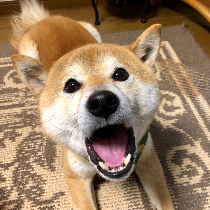 0c9630c8 e6d8 4fd5 9f31 b8765e934142 1523415506911