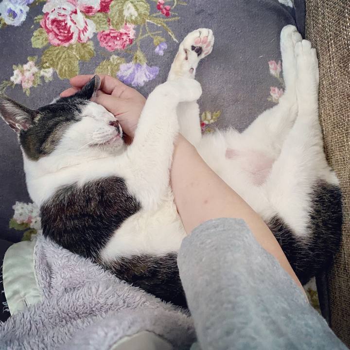 0c963245 a628 4d7f bc8a 7cae0965ece5 1590922325016