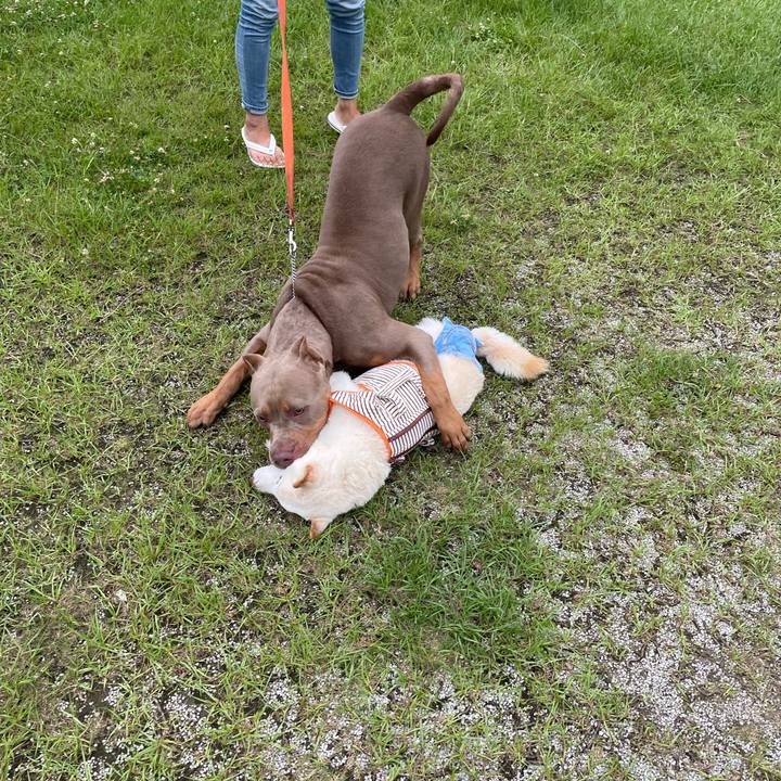 0c963fd9 79a9 4c6c 97f7 d37bf32fd049 1657205621899