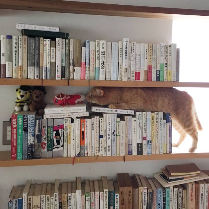 0c968d02 9a08 4d07 8d5b 68be298bddf3 1553305529467