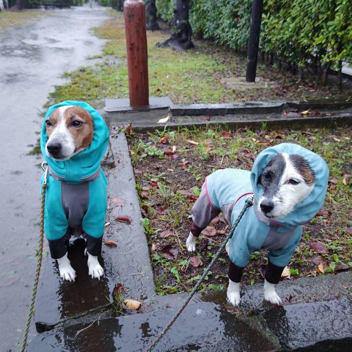 0c96c76f 8332 4f84 9dbf 50e6a5c3867b 1730240858647