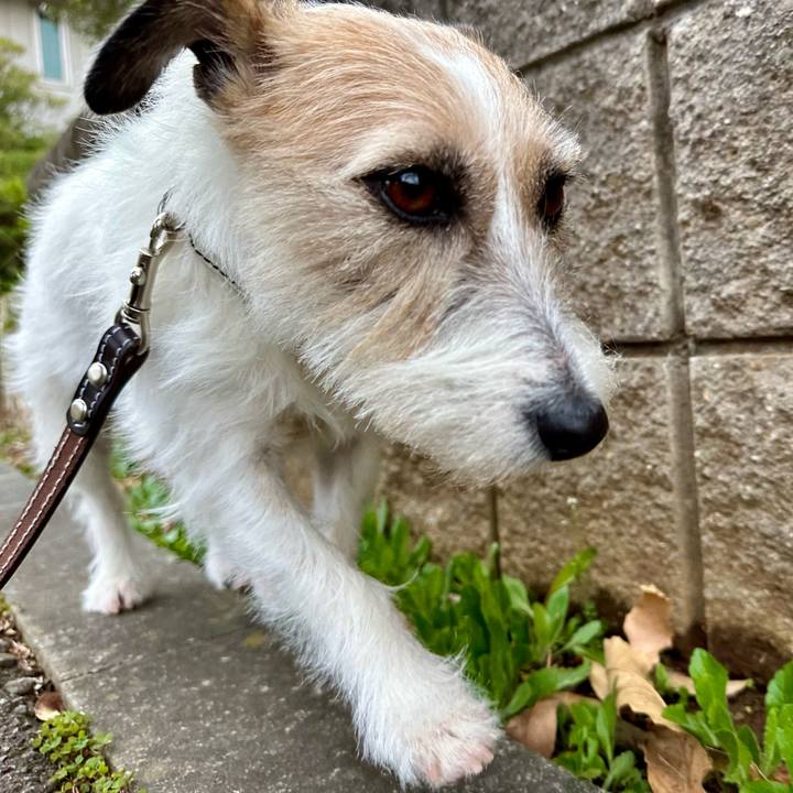 0c96d670 9415 4cb7 8ad6 e713d5feeb39 1744030887473