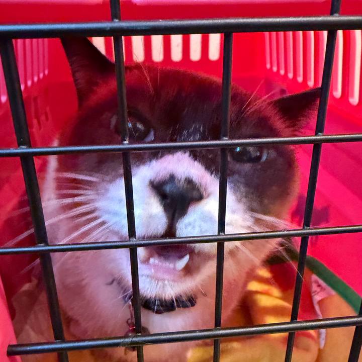 0c96d8b6 0288 44db 9dff 21104701d5d5 1765364480702