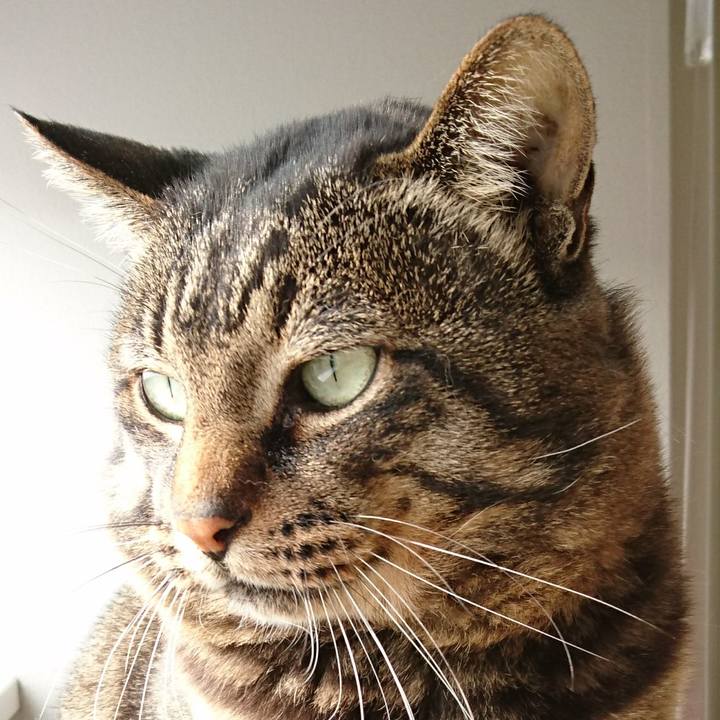 0c96e839 2c48 4bdb a65b 3503f6bd711d 1556327252127