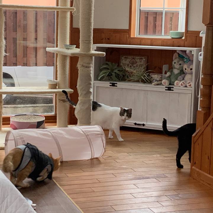 0c96fa73 bdc6 45e2 aa9a da2ee991bbd0 1653947872151