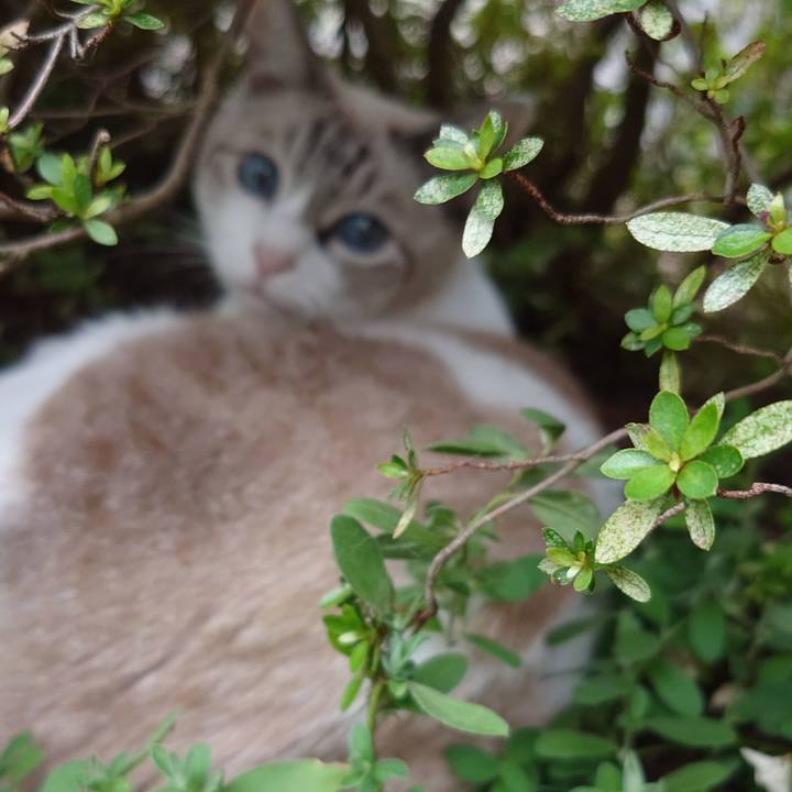 0c971731 49e7 479f ba00 8100559421e7 1727784556380