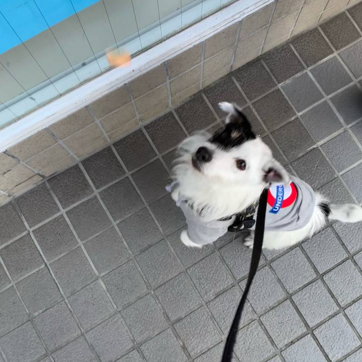 0c97b38b ecf1 4681 b15a 097ad5131567 1709451157662