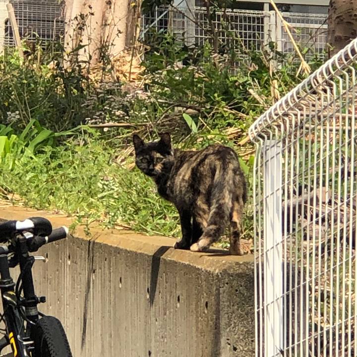 0c97c9b3 cf71 48dd adcc b2cc276050c7 1588121961673