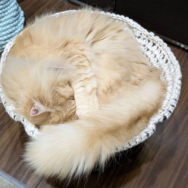 0c97fb32 8e4a 4d02 b311 bfa8383b7587 1752067310135