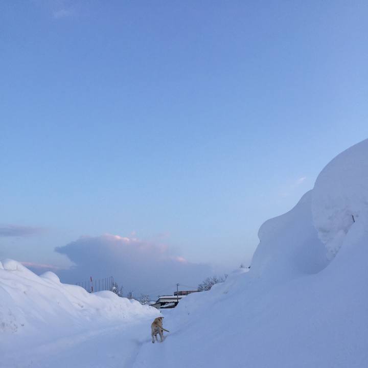 0c97fb57 3174 4eeb 9727 86788a12d7ea 1547481456775