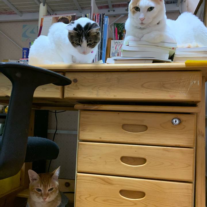 0c9817fb 0f26 4422 996d 61da0f01940a 1583183395982